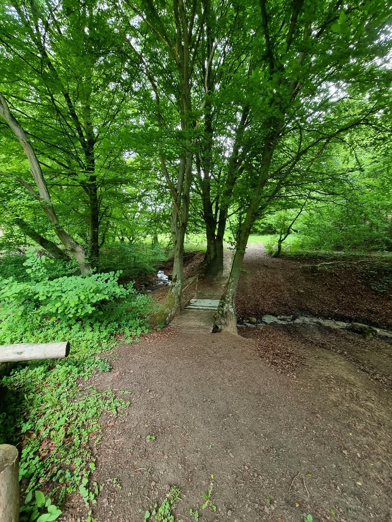 Hodnotenie hydrologickej situácie - máj 2025