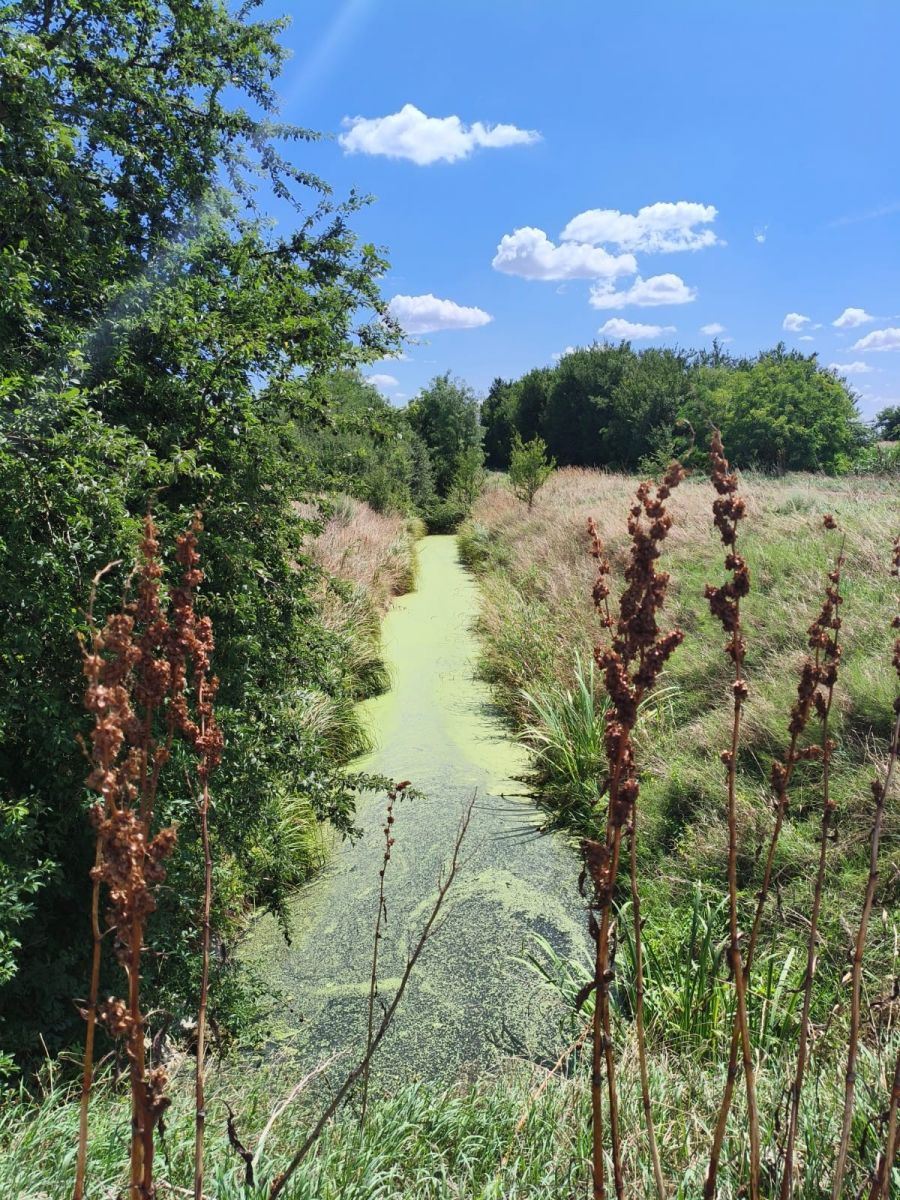Hodnotenie hydrologickej situácie - júl 2025