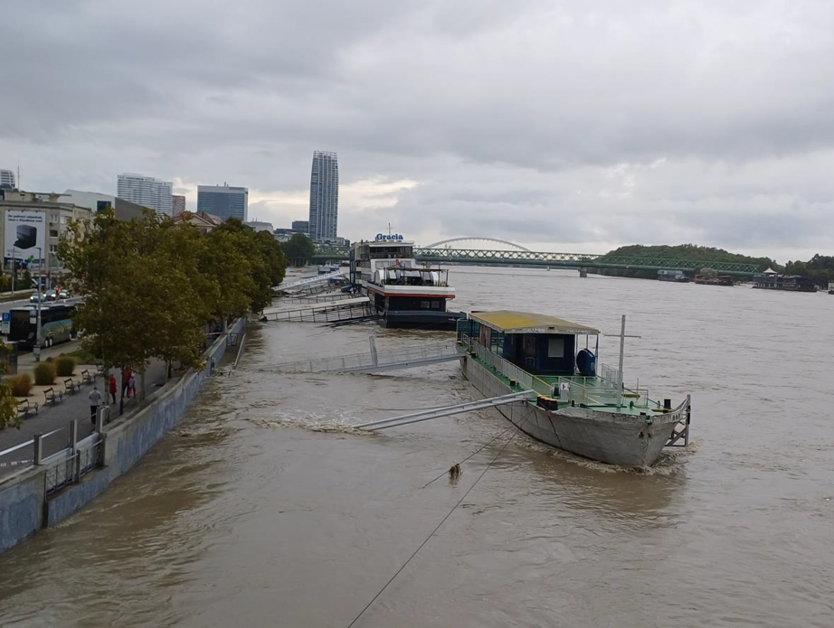 Odpočet činnosti za rok 2024