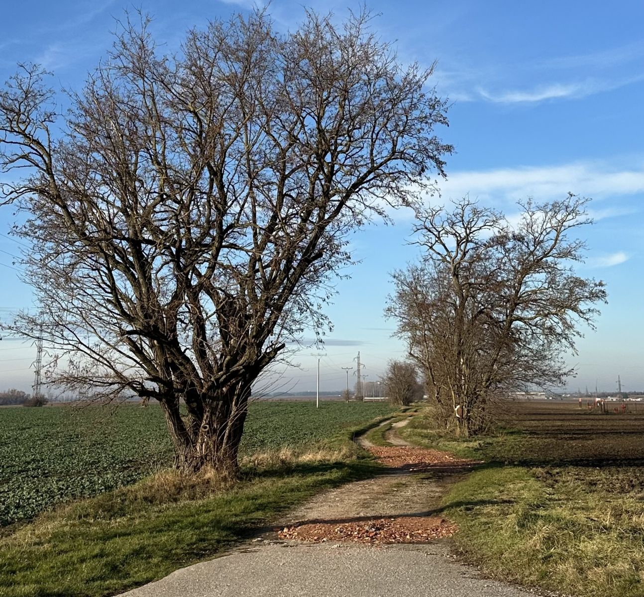 Predbežné zhodnotenie mesiaca november