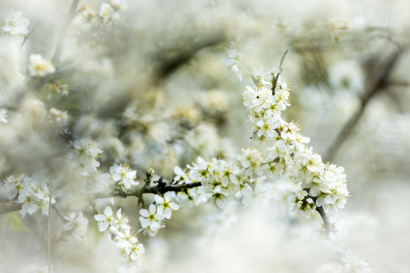 Predbežné zhodnotenie mesiaca marec 2026