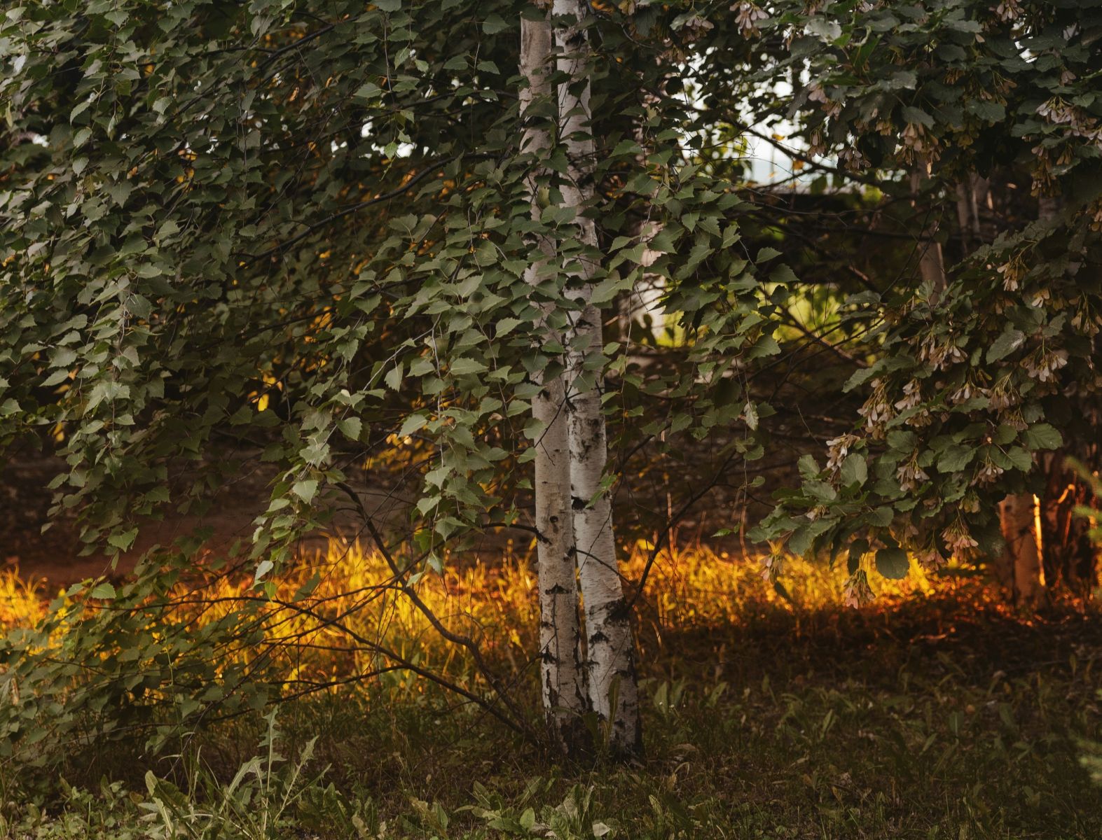 Zvýšené riziko vzniku a šírenia požiarov v prírodnom prostredí